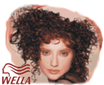 wella3.gif (15785 Byte)